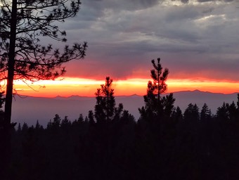 Oregon Sunset
